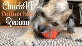 ChuckIt Tennis Ball REVIEW [upl. by Creedon687]