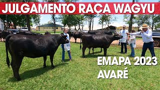 WAGYU JULGAMENTO DO GADO DURANTE A EXPOSIÇÃO EMAPA 2023  AVARÉ SP [upl. by Erkan108]