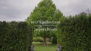 DiJones  89 OKeeffes Lane Jaspers Brush [upl. by Newmann]