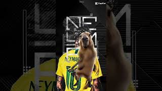 Neymar kapibara [upl. by Lepper]