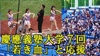 【①慶應義塾大学応援団チアリーダー】７回「若き血」と応援東京六大学野球春季リーグ対明大２回戦2024519（日）神宮球場 [upl. by Kevin]