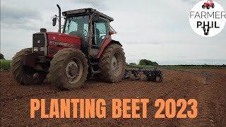 2023 FODDER amp SUGAR BEET PLANTING MF 3075 amp WEB PRECISION PLANTER [upl. by Frodine57]