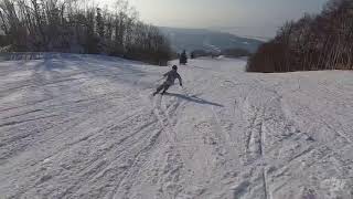 Ski SIA 2020 Carving turns [upl. by Etirugram]