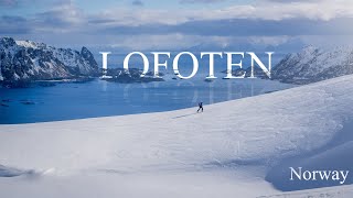 Best of Lofoten Norway in winter season in ONLY 227 min March 2024  Jones de Rosso Photography [upl. by Oca297]