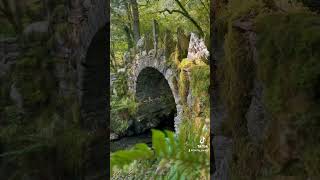 Fairy Bridge at Glen Creran travelshorts travelscotland travelvlog vanlife vanlifeuk [upl. by Cormier]