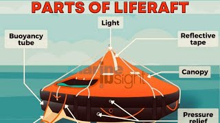 Do You Know the Importance of Life Rafts on Ships 🌊🚤” [upl. by Rowena]