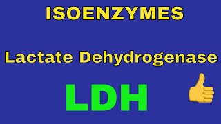 Lactate Dehydrogenase Enzyme  LDH  Isoenzymes  By Dorka Beri [upl. by Dnama]