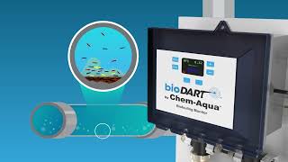 bioDART Biofouling Monitor [upl. by Schoof355]