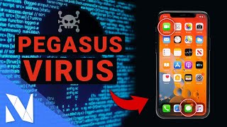 Pegasus Spyware  iPhone amp Android Virus  Pegasus erkennen amp sich schützen  NilsHendrik Welk [upl. by Doty330]