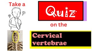 Quiz on the cervical vertebrae [upl. by Kissie]