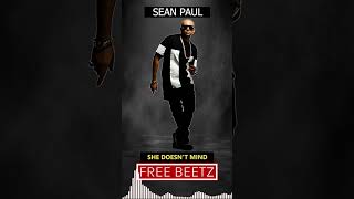 Sean Paul  She Doesnt Mind  Instrumental Track [upl. by Aicat156]