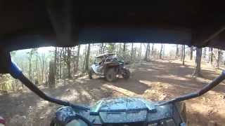 Wildcat chases Trail Sport Limited vid 1  Barnwell 1172015 [upl. by Kazimir900]