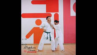 Training application for Uraken Uchi  Yoko Geri Keage  Heian Nidan Shotokan Karate Kata [upl. by Onirotciv]