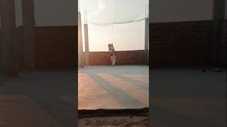 Straight drive  over cover shot pratice at home  cricket viralvideo shorts sachin drive [upl. by Tilford]