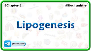 Lipogenesis  Lipid Metabolism [upl. by Ahsropal]