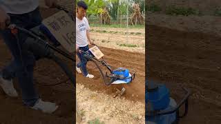 Hoeing weeds and trenching [upl. by Buroker]