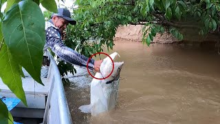 Pesca campamento y asado a la orilla del rio capturamos mas de 5 grandes especies diferentes [upl. by Gnilyarg]