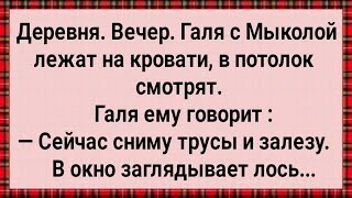 Как Лось На Галю Смотрел Сборник Свежих анекдотов Юмор [upl. by Creedon]