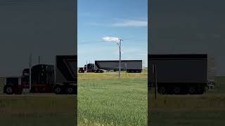 4K Custom Peterbilt 379 with curtainside flatbed shorts peterbilt semitruck [upl. by Cello]