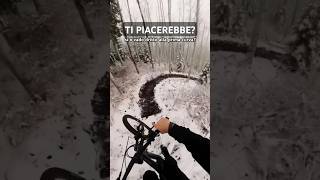 SNOW and Bike thekingmtb mtb freeride snow [upl. by Bigelow15]