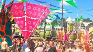 Psychedelic Circus Festival 2013  Neelix  PACELAND [upl. by Harle467]