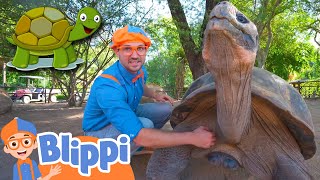 Blippi Visits a Zoo And Learns About Animals  Educational Videos for Kids [upl. by Ignatz]