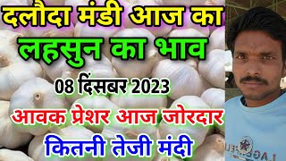 दलौदा मंडी आज का लहसुन का भाव 08 दिसंबर 2023 garlic rate today daloda aaj ka lahsun ka bhav [upl. by Kondon641]