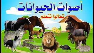 أسماء وأصوات الحيوانات للاطفال تعليم أصوات الحيوانات للأطفال باللغة العربية animalsounds [upl. by Chiquia]