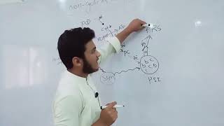 what is light reaction cyclic and non cyclic electron transport educationist [upl. by Aroon]