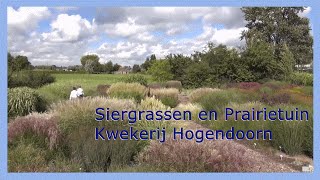 Siergrassen en Prairietuin Hogendoorn 0416  69 21 21 [upl. by Sawtelle]