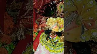 Radhe braj jan man sukhkari🌸🥰❤ [upl. by Dnalyk234]