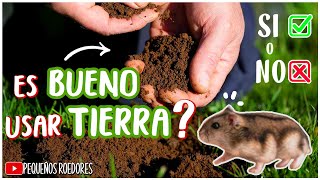 Puedo USAR TIERRA en la JAULA de mi HAMSTER [upl. by Ailedroc]