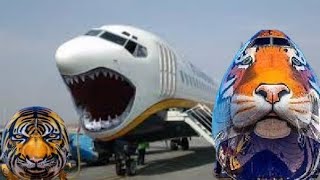 the 30 Incredible Aircraft Paint job you need to see [upl. by Pepillo602]