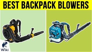 10 Best Backpack Blowers 2019 [upl. by Anihsat]