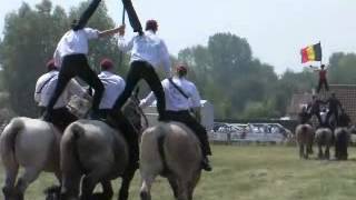 Trekpaarden festival Oostduinkerke [upl. by Rebmyt]