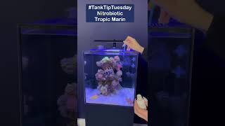 TankTipTuesday Nitrobiotic by Tropic Marin [upl. by Saltsman430]