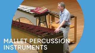 Guide to the Orchestra Mallet Percussion Instruments  Minnesota Orchestra [upl. by Batish814]