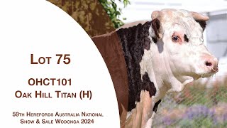 Lot 75 Oak Hill Titan H [upl. by Noonan311]