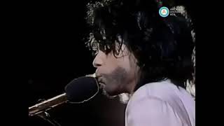 Prince  Thieves in The Temple Rock in Rio live in Brazil 1991 [upl. by Dlonyar]