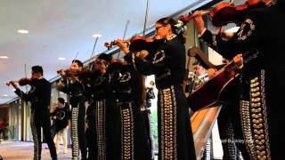 Mariachi Aztlan w Richard Carranza Son de la Negra [upl. by Obrien]