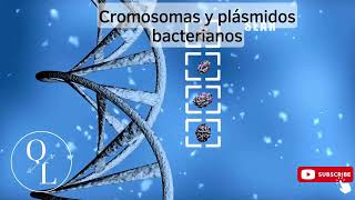 16 Cromosomas y Plásmidos Bacterianos [upl. by Meryl]