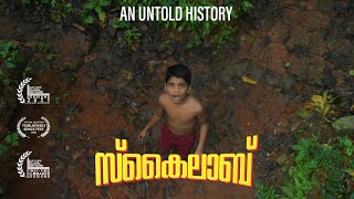 SKYLAB estd 1979  സ്കൈലാബ് Malayalam Documentary  An untold History  Skylab fall  Sikhil Das [upl. by Spratt]