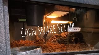 🐍 Setting Up My Corn Snake Enclosure 🧪 [upl. by Bianchi]