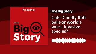 Cats Cuddly fluff balls or worlds worst invasive species  The Big Story [upl. by Nerual]