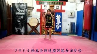 World Kyokushinkaikan Karate  Hoko amp Tai Sabaki Swithe [upl. by Nevur]