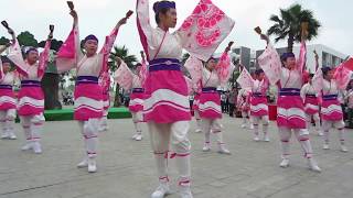 Yosakoi Dance Festival Yokaze ソーラン よさこい  Japanese Traditional Dance [upl. by Rettig748]