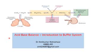 Introduction to Buffer System  Regulation of pH  Acid Base Balance  Buffers in Biochemistry [upl. by Niveb]