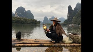 Li River Cormorant Fishing [upl. by Sibie]