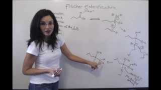 Fischer Esterification Mechanism [upl. by Ahsiek]