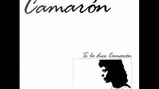 08 Los inmortales Camaronwmv [upl. by Einiar]